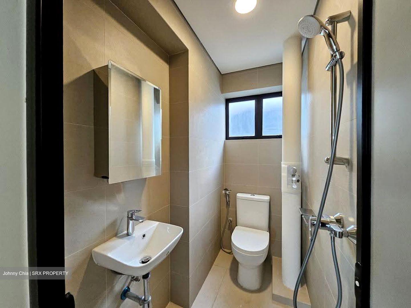 Dunearn Road (D11), Condominium #620210711